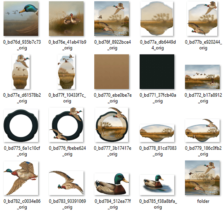 Kit Digital Patos no Lago  2