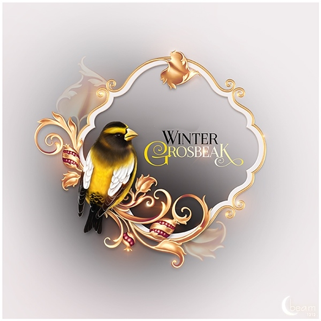 Kit Digital Molduras de Pássaros 1