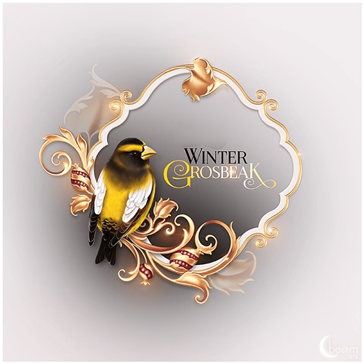 Kit Digital Molduras de Pássaros 1