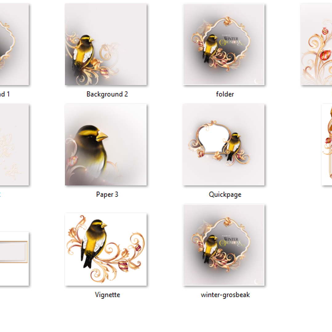 Kit Digital Molduras de Pássaros 2