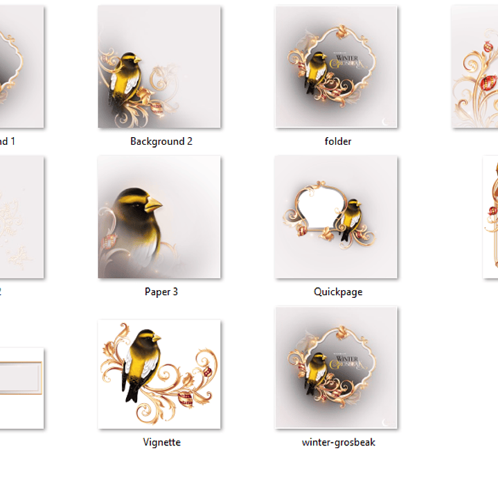 Kit Digital Molduras de Pássaros 2