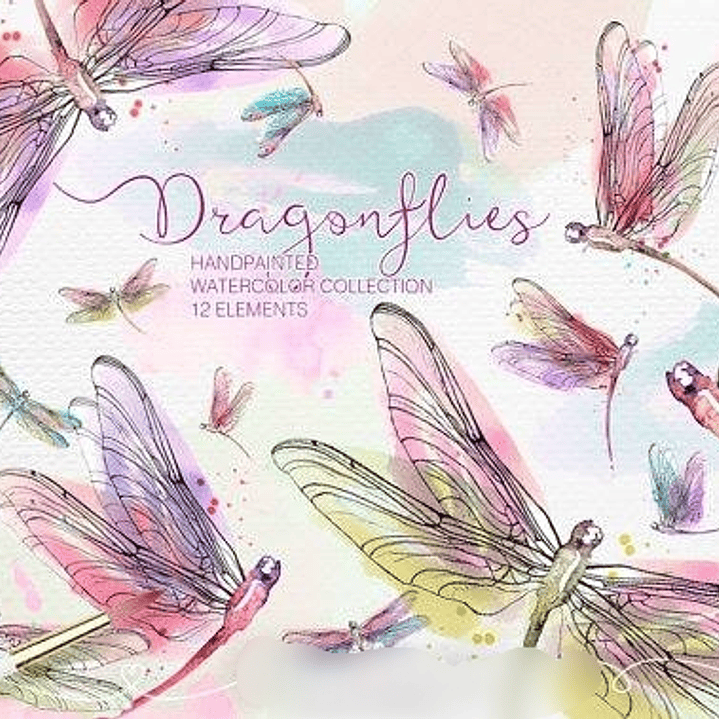 Kit Digital Libélulas  1