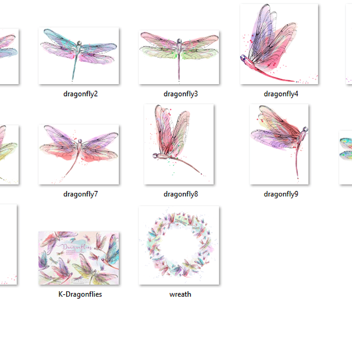 Kit Digital Libélulas  2