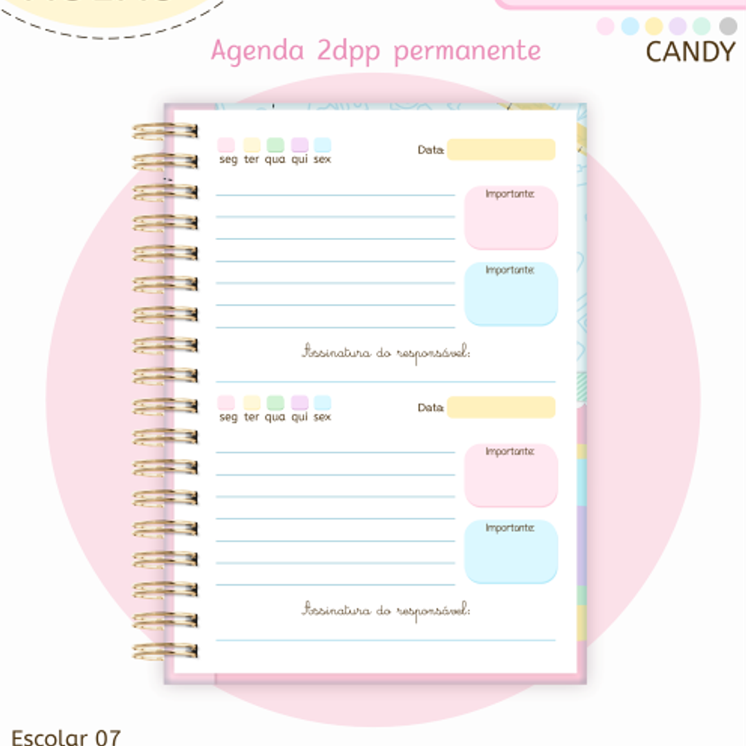Arquivo Pack Agendas Escolares A5 - 2026  24
