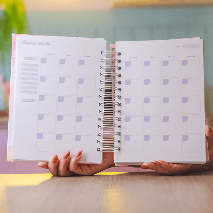 Arquivo Combo Planner Vagalume 2026  3