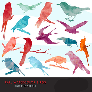 Kit Digital Passaros