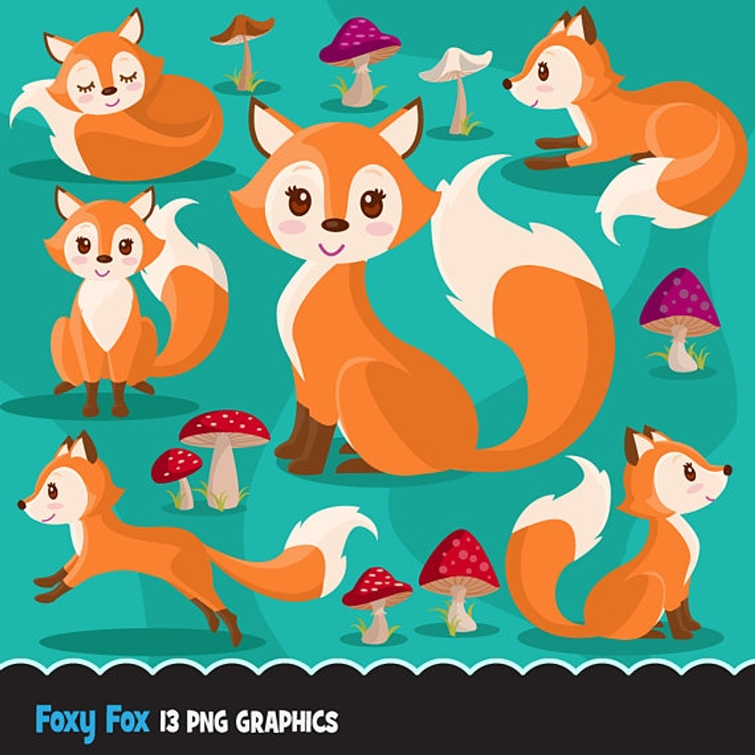 Kit Digital Rapousa BaBy 1