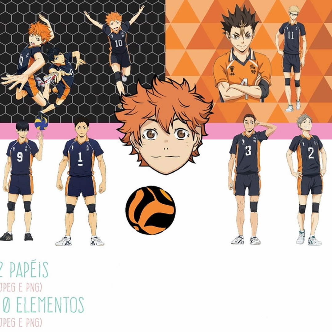 Kit Digital Haikyuu 1