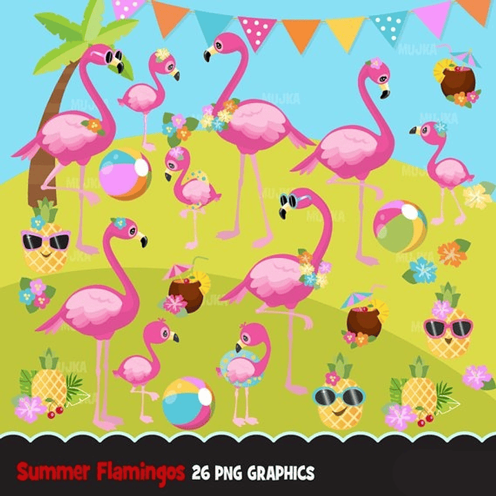 Kit Digital Flamingo 1