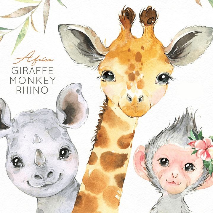 Kit Digital Africa- Animais  1