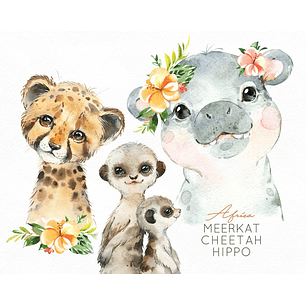 Kit Digital Africa- Animais 