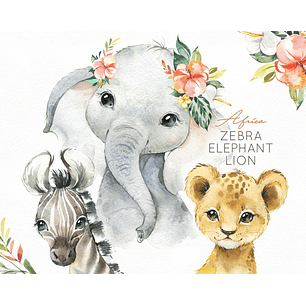 Kit Digital Africa- Animais 