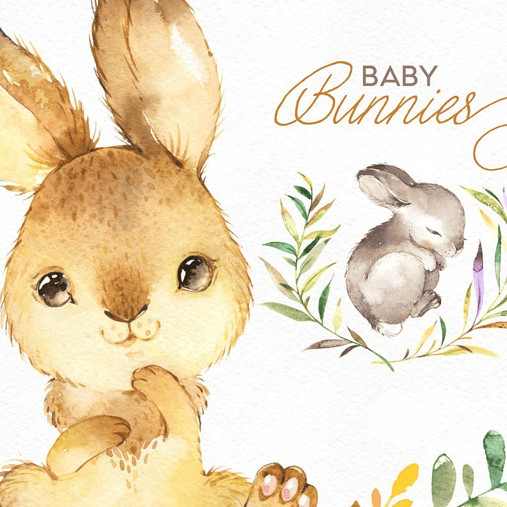 Kit Digital Coelhinho Baby  1