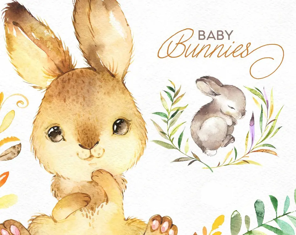 Kit Digital Coelhinho Baby  1