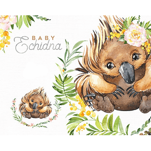 Kit Digital Equidnas Baby