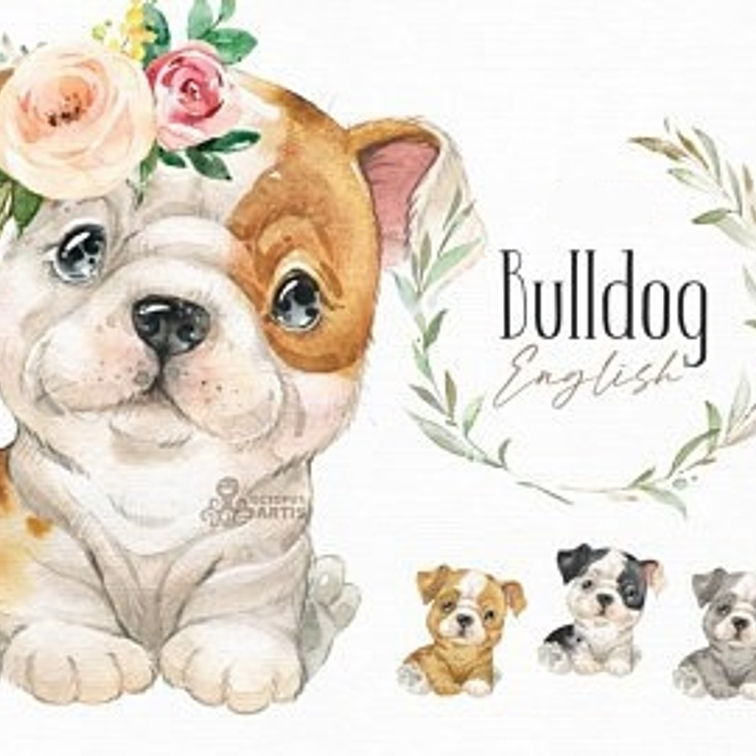 Kit Digital Bulldog Pets 1