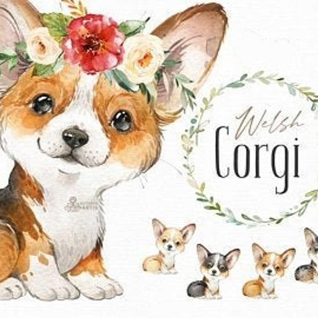 Kit Digital Doguinhos  1