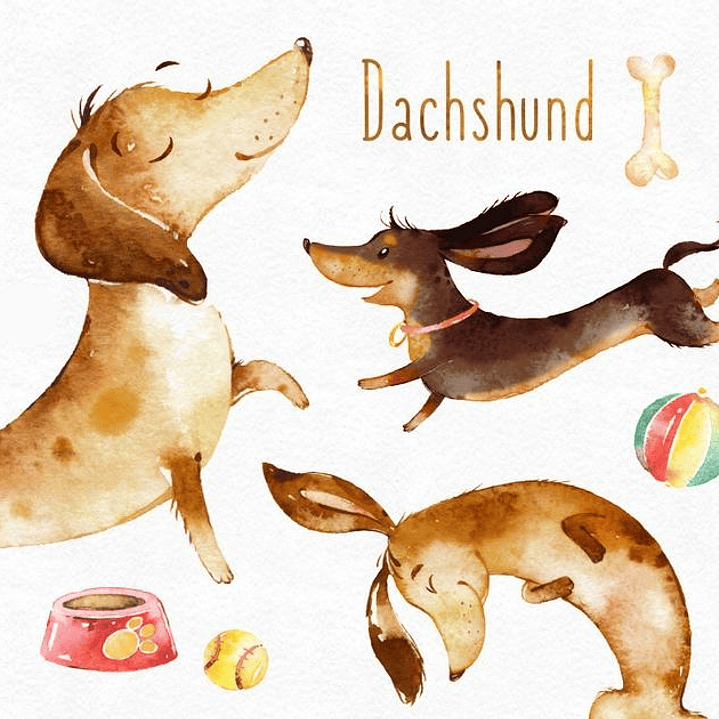 Kit Digital Doguinhos-Salsicha 1