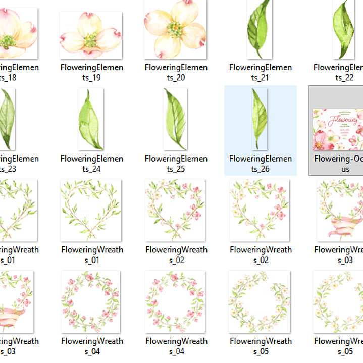 Kit Digital Flores Rosas 3