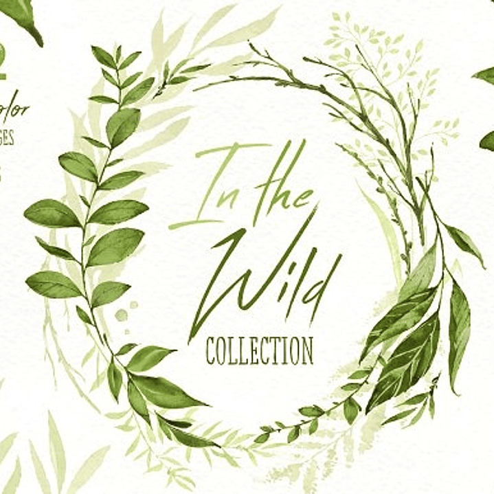 Kit Digital Flolhas  1