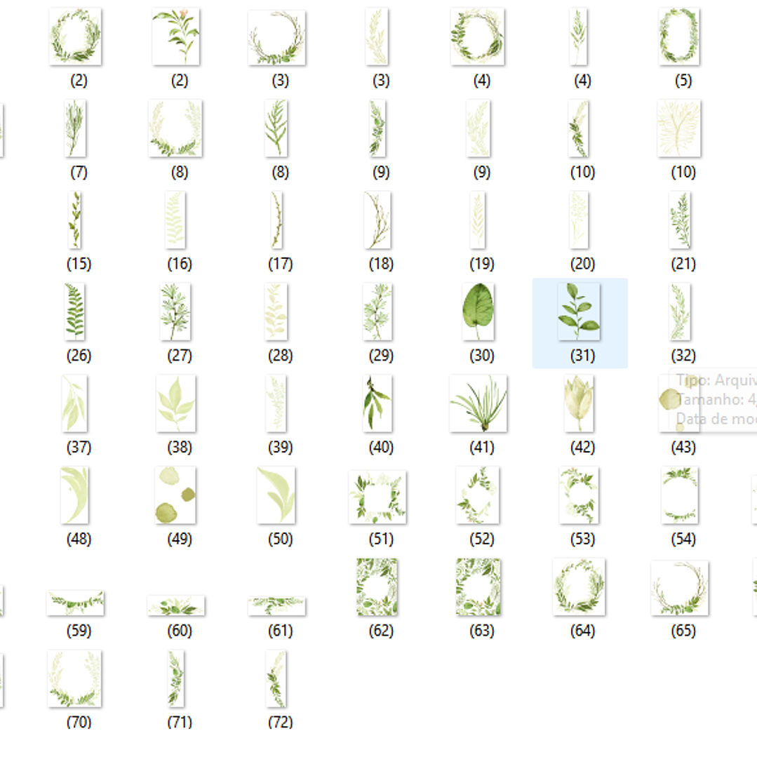Kit Digital Flolhas  2