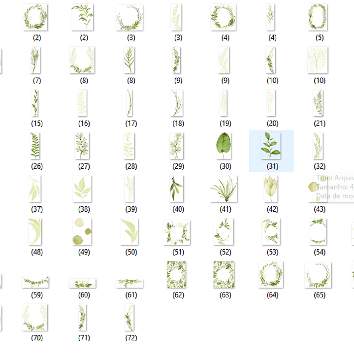 Kit Digital Flolhas  2