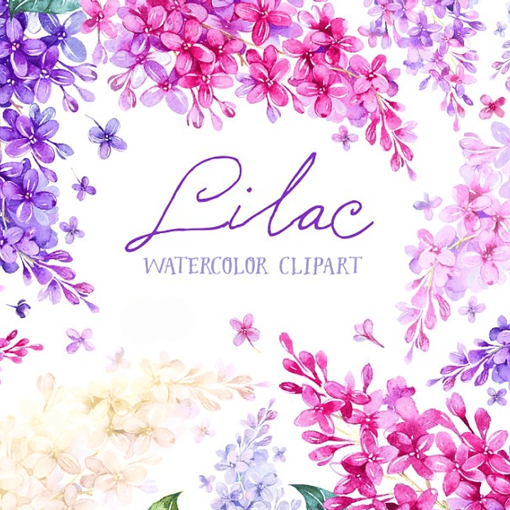 Kit Digital Flores Lilas  1