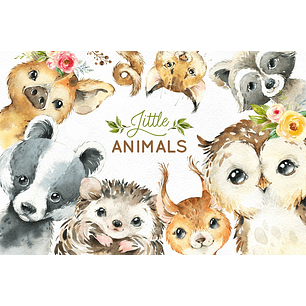 Kit Digital Animais da Floresta 