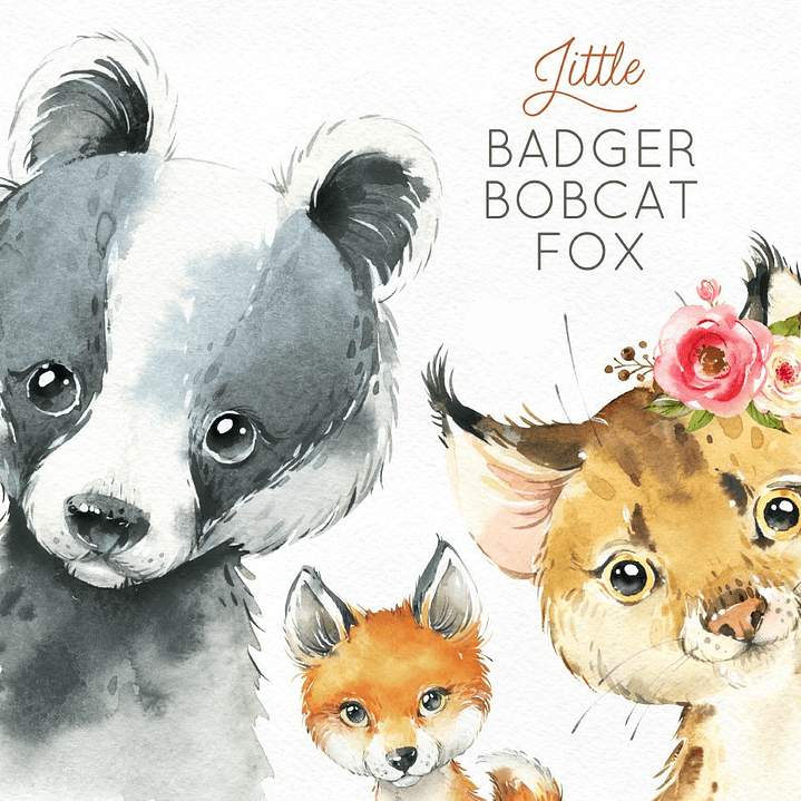 Kit Digital Animais da Selva  1