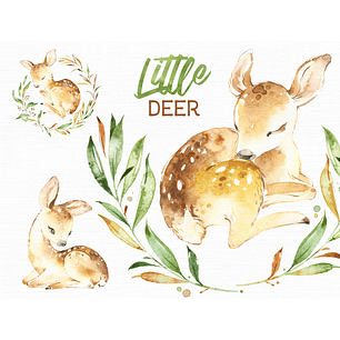 Kit Digital Cervo Baby