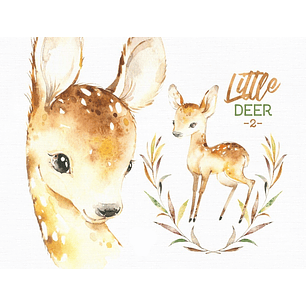 Kit Digital Cervo Bebê Veado