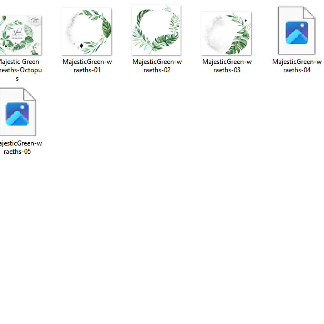Kit Digital Folhas Floral  2