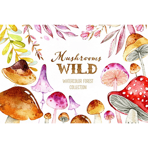 Kit Digital Cogumelos 