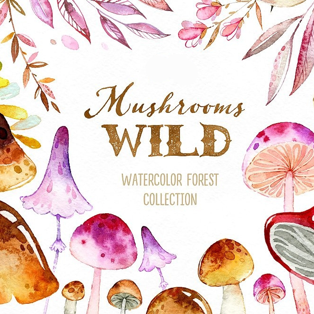 Kit Digital Cogumelos  1