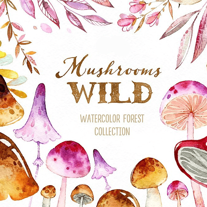 Kit Digital Cogumelos  1