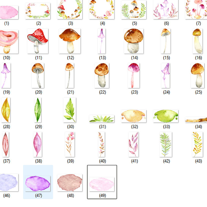 Kit Digital Cogumelos  2