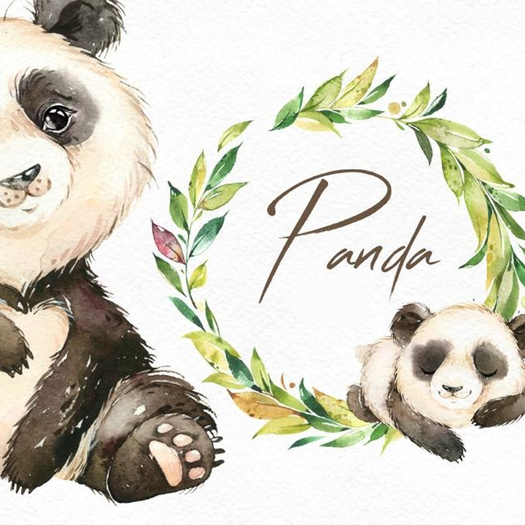 Kit Digital Panda Baby 1