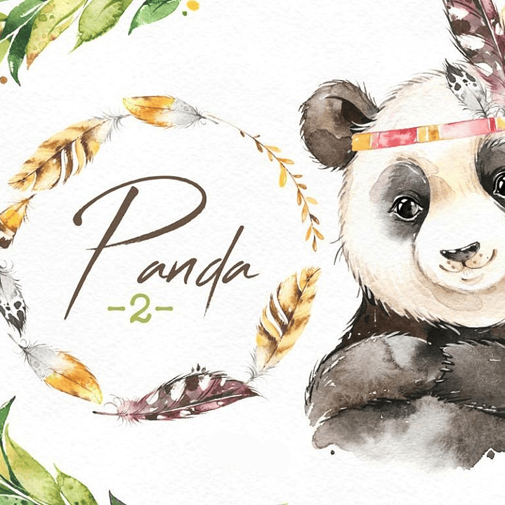 Kit Digital Panda  1