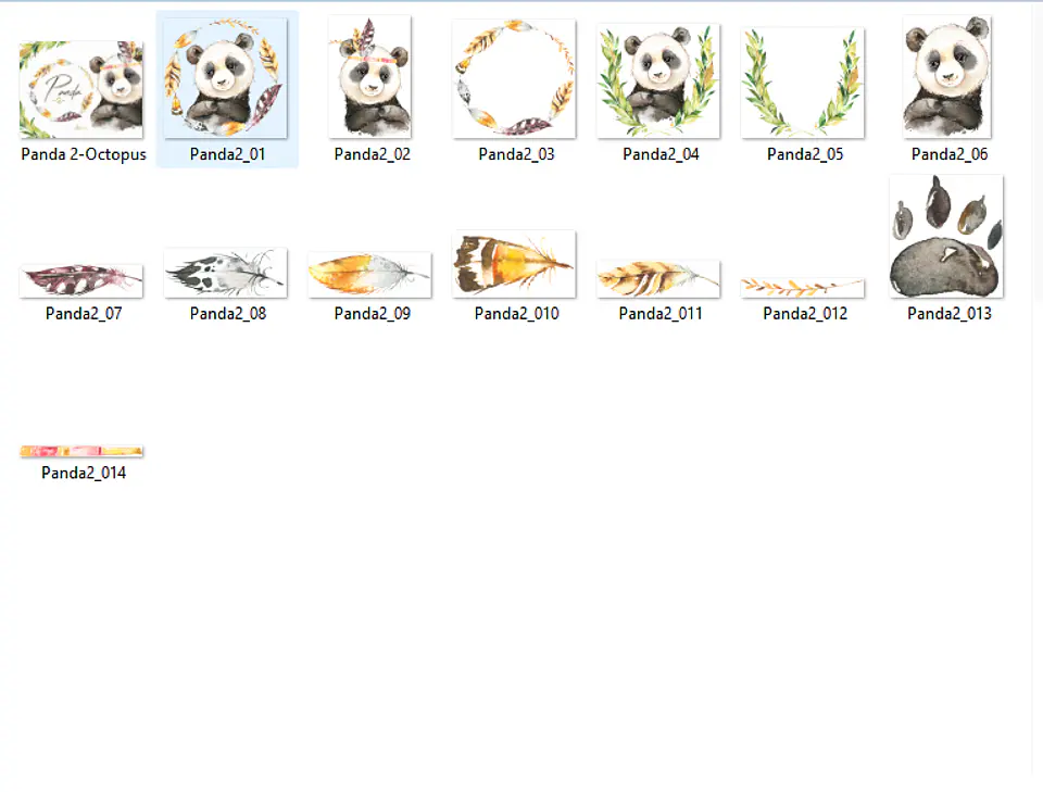 Kit Digital Panda  2