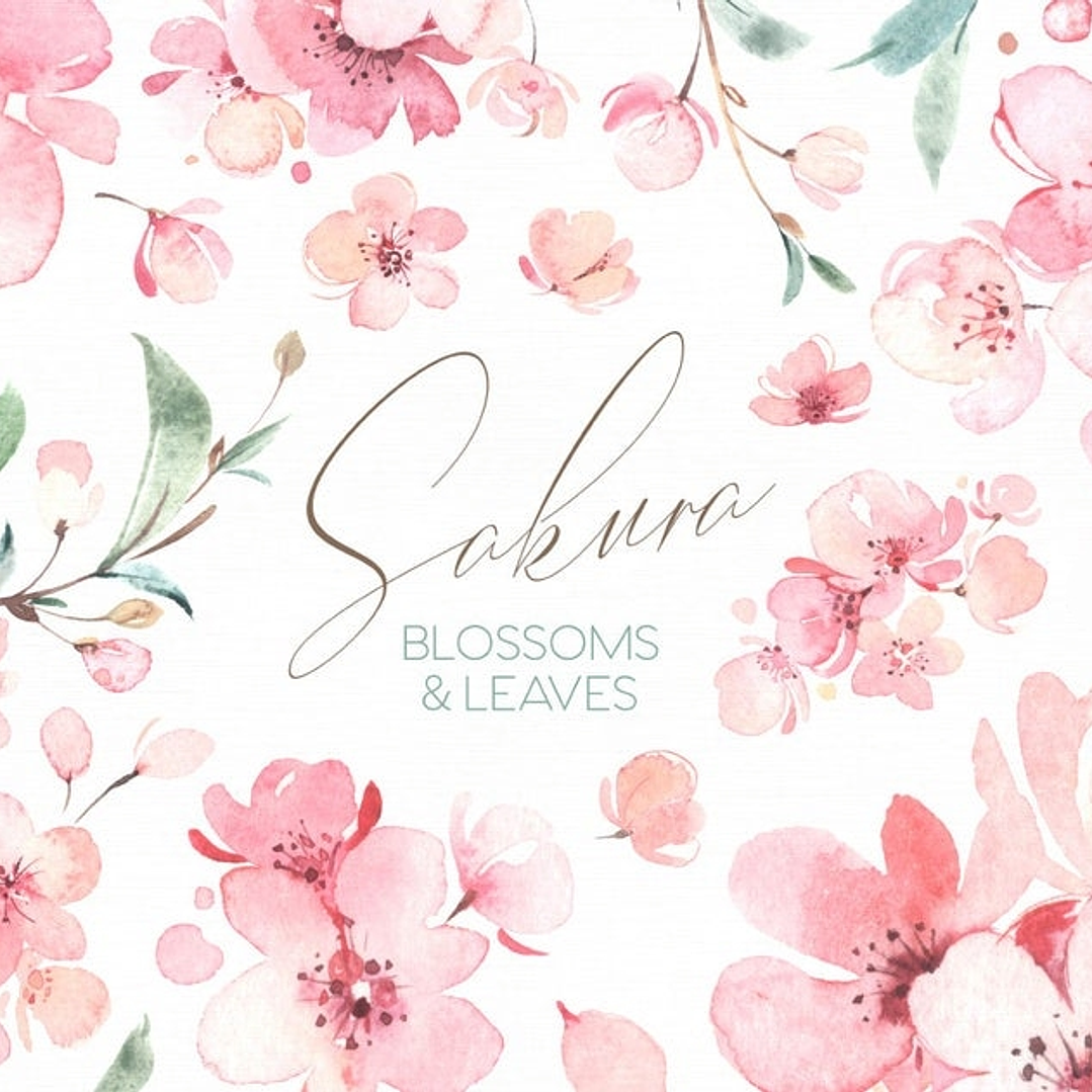 Kit Digital Cerejeiras  1