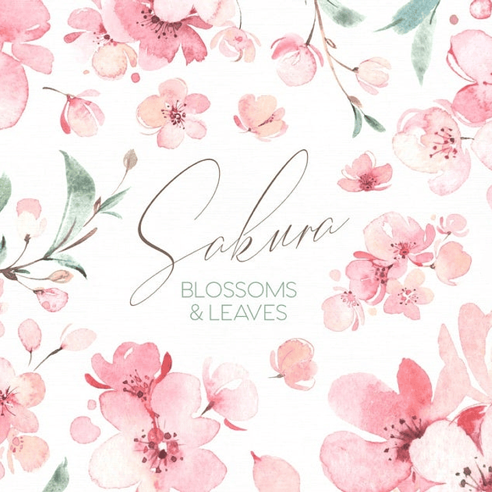 Kit Digital Cerejeiras  1