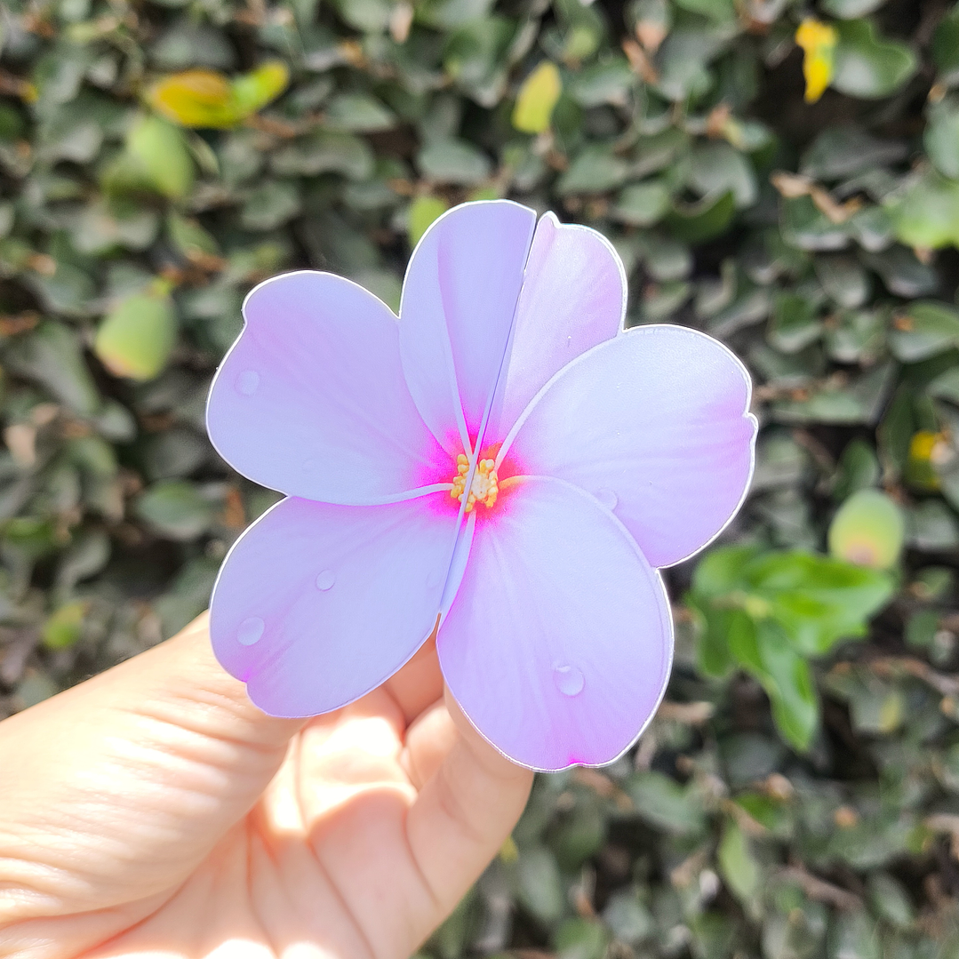 Arquivo Card Retrovisor  6