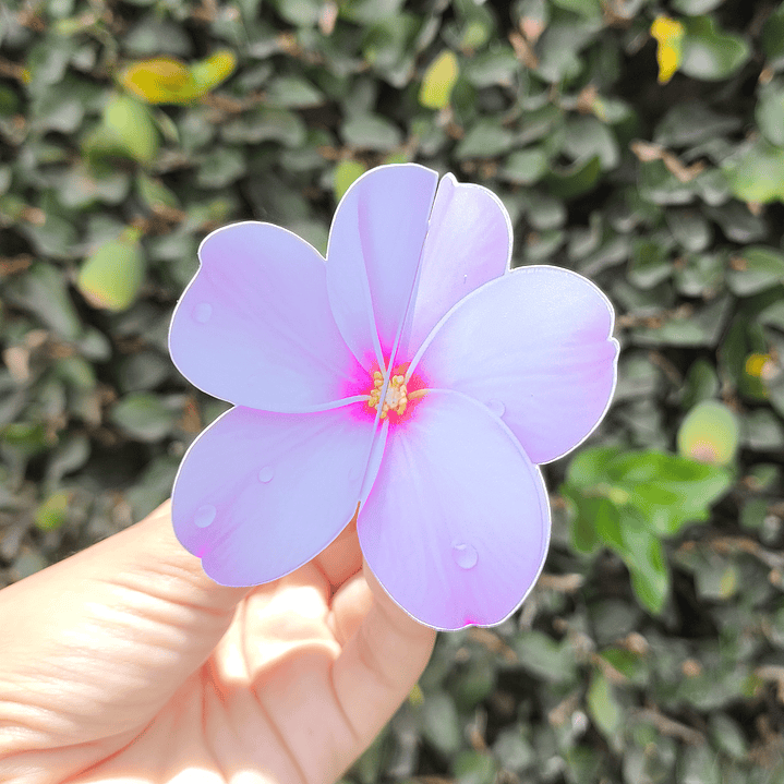 Arquivo Card Retrovisor  6