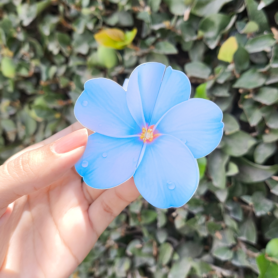 Arquivo Card Retrovisor  10