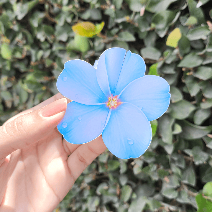 Arquivo Card Retrovisor  10