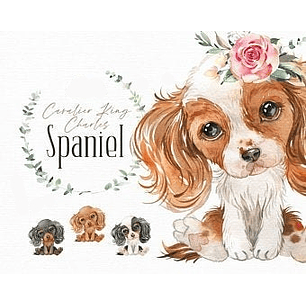 kit Digital Cachorrinhos Fofinhos 