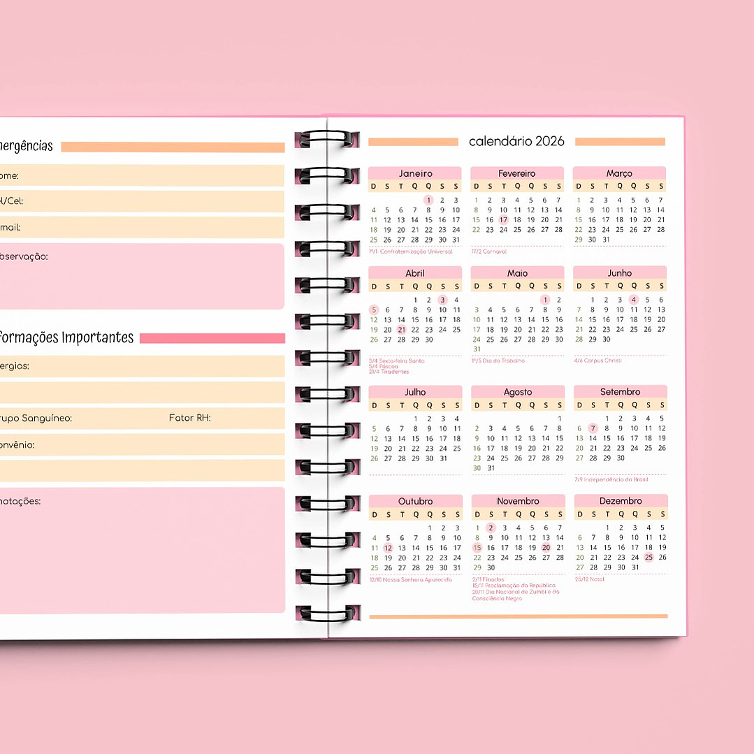 Arquivo Agenda Creche Sem Data 1DPP 2026/2027 20