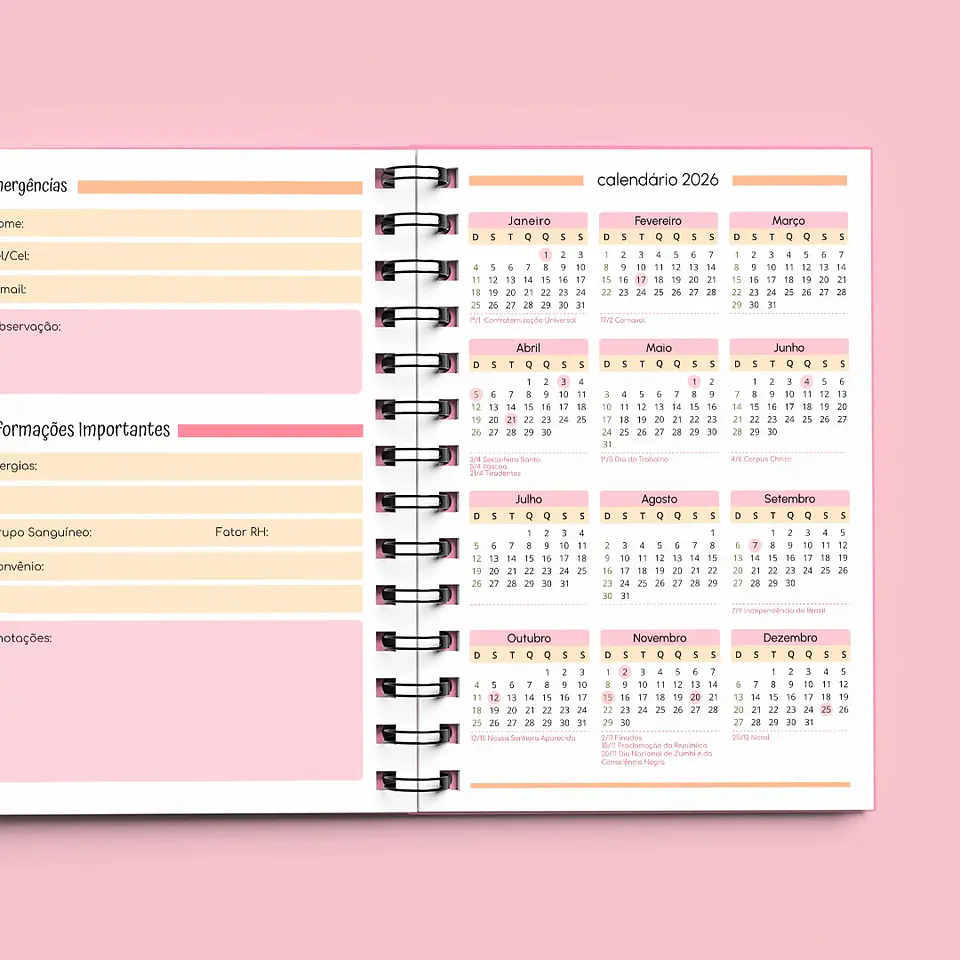 Arquivo Agenda Creche Sem Data 1DPP  20