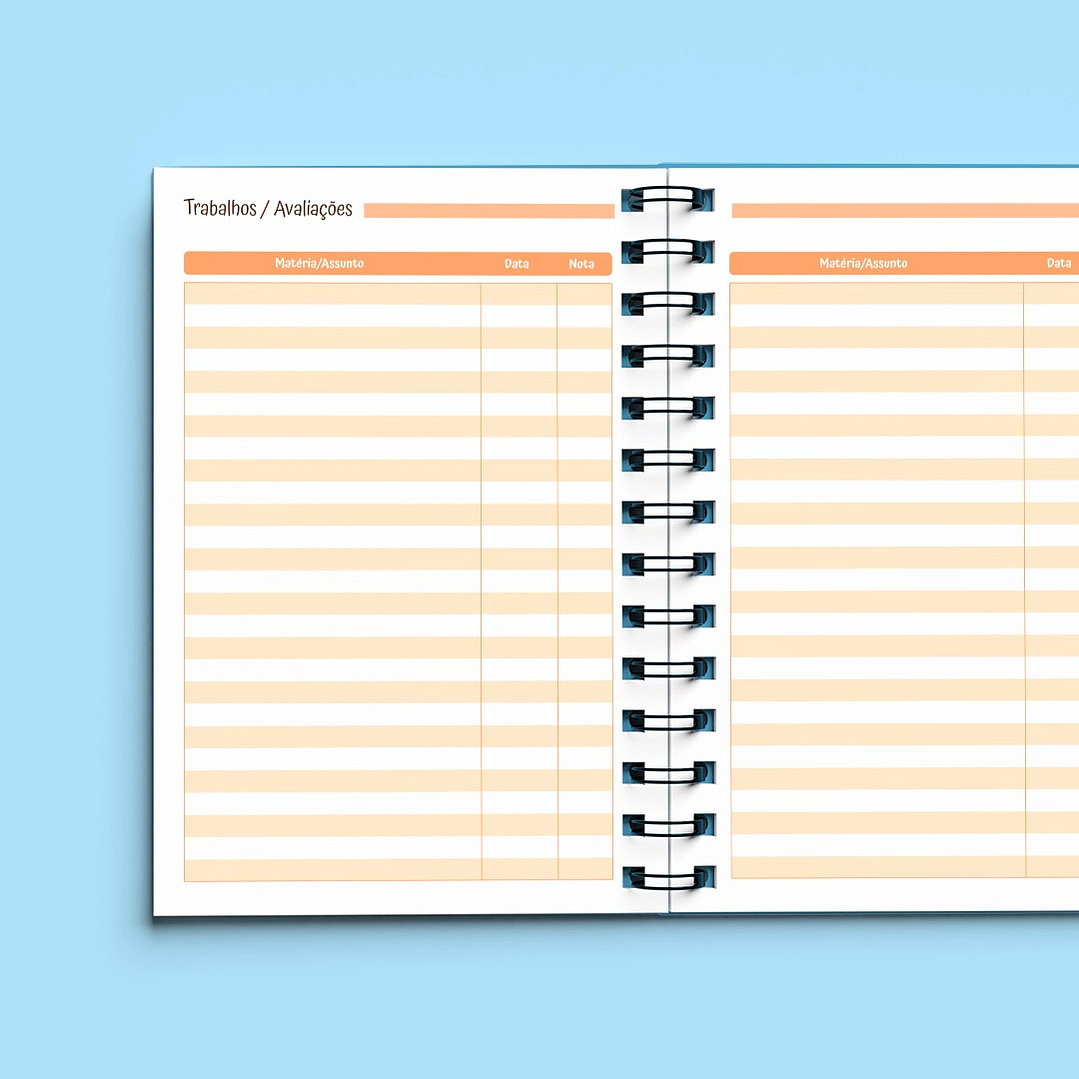 Arquivo Agenda Escolar Sem Data 1DPP + 2DPP 2026/2027 9