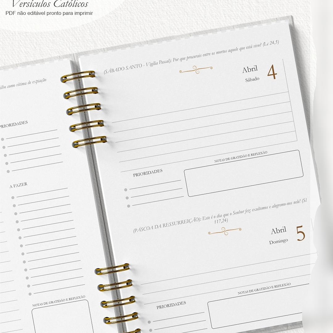 Arquivo Combo Agenda 2026 Versículos Católicos + 16 Capas  3